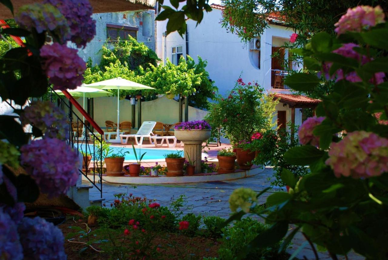 Kipos Hotel Thasos Extérieur photo